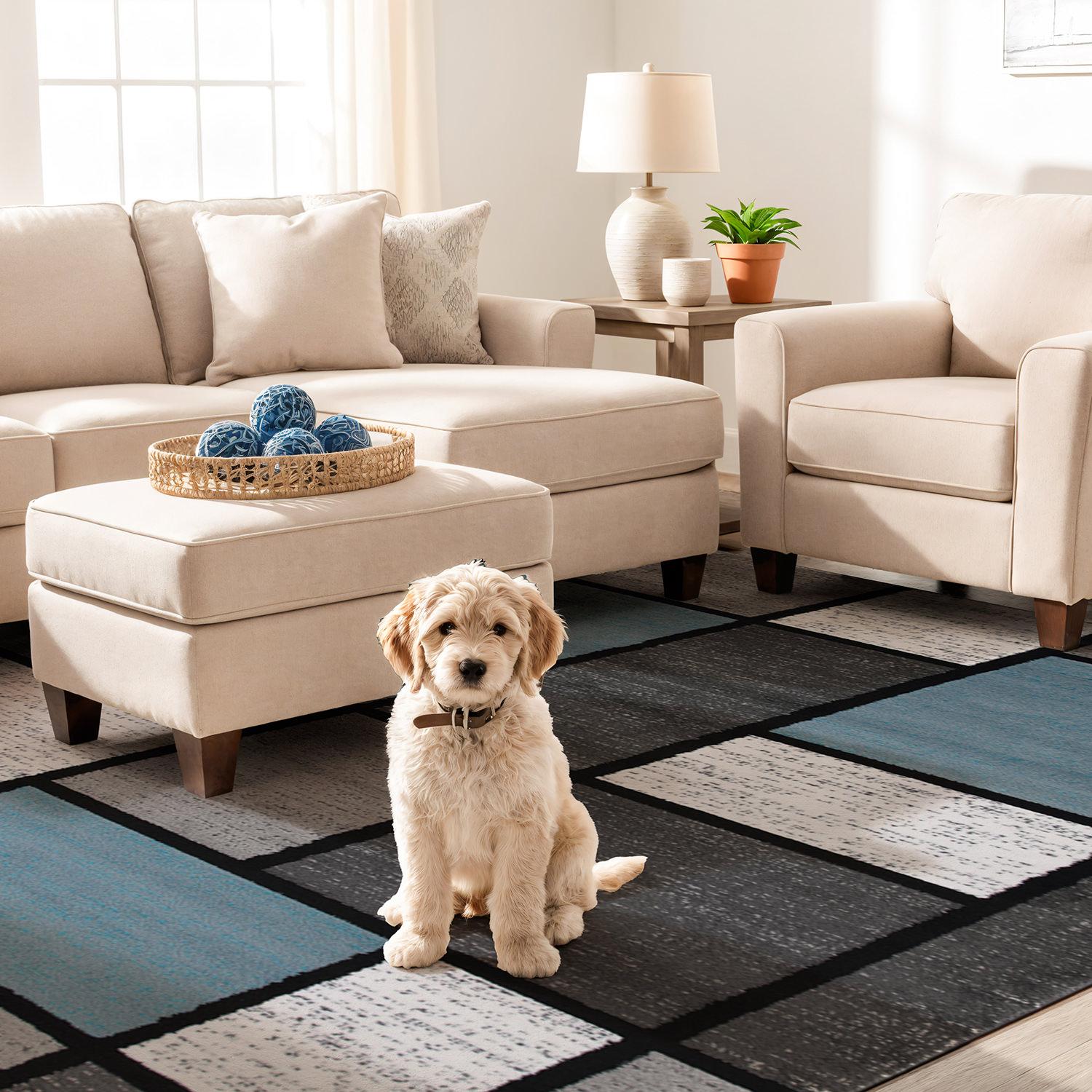 Rugshop Rugs for Living Room Contemporary Modern Boxed Color Block Bedroom Rugs