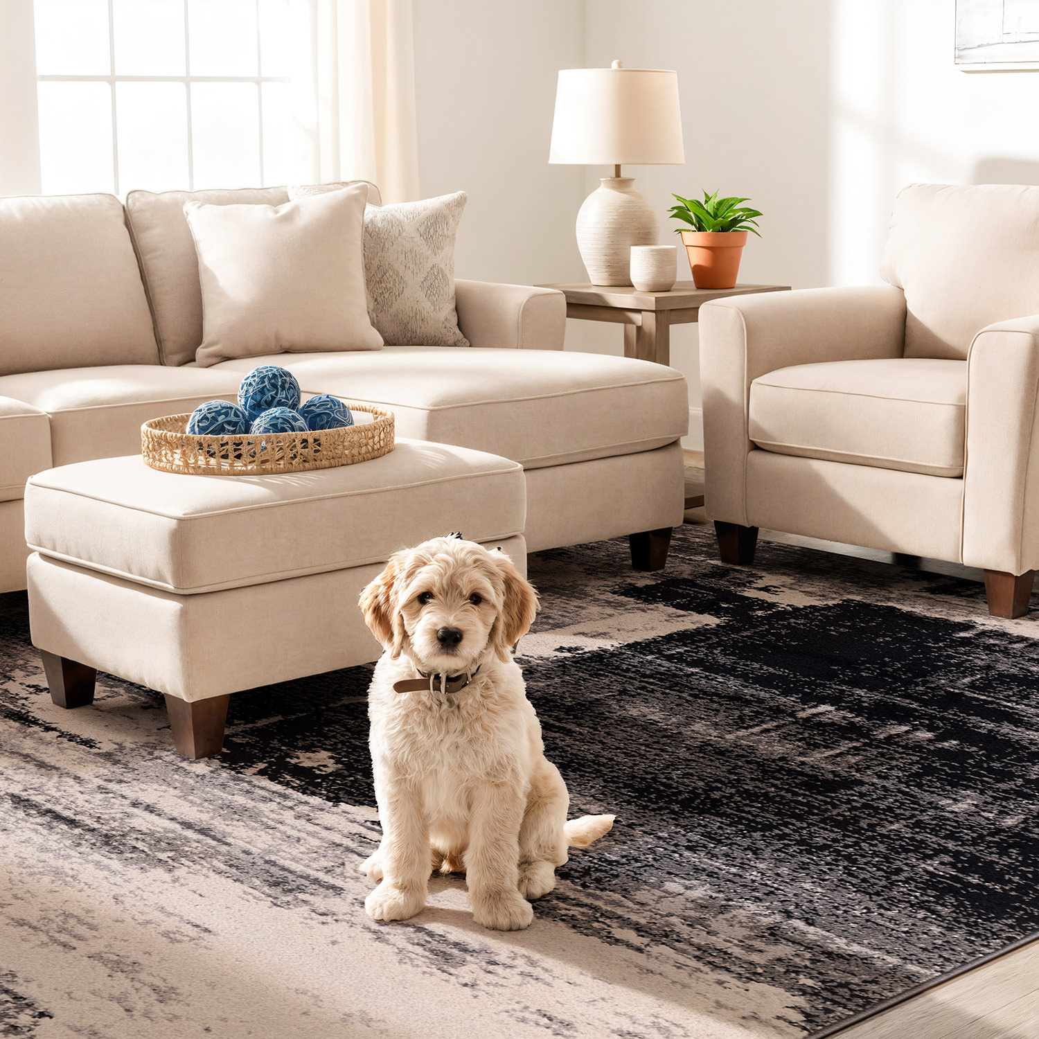 Rugshop Area Rug Modern Abstract Design Carpet Rugs for Bedroom Living Room Rugs